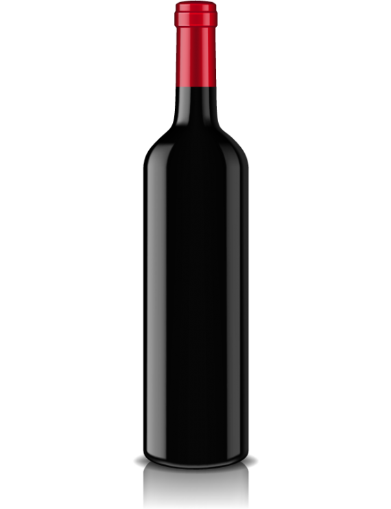 Rotwein Merlot Del Veneto 11.5% 0.5l